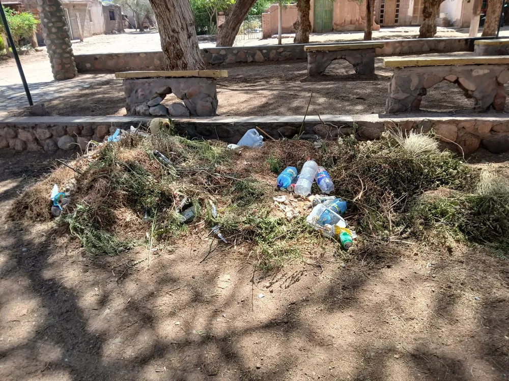 Abandono en El Puesto - 07