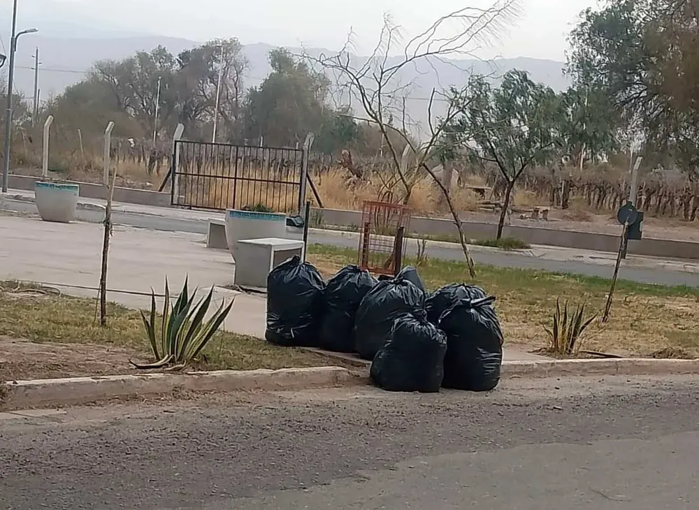 Operativo de Limpieza Barrialitos - 02