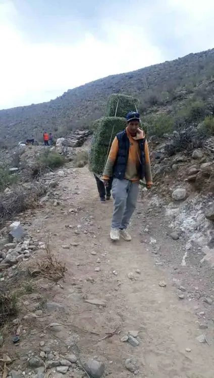 Asistencia a Productores - 01