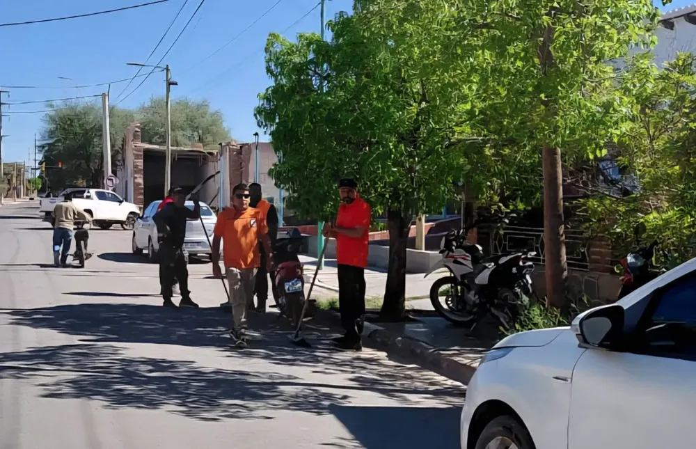 Operativo de Limpieza - 02