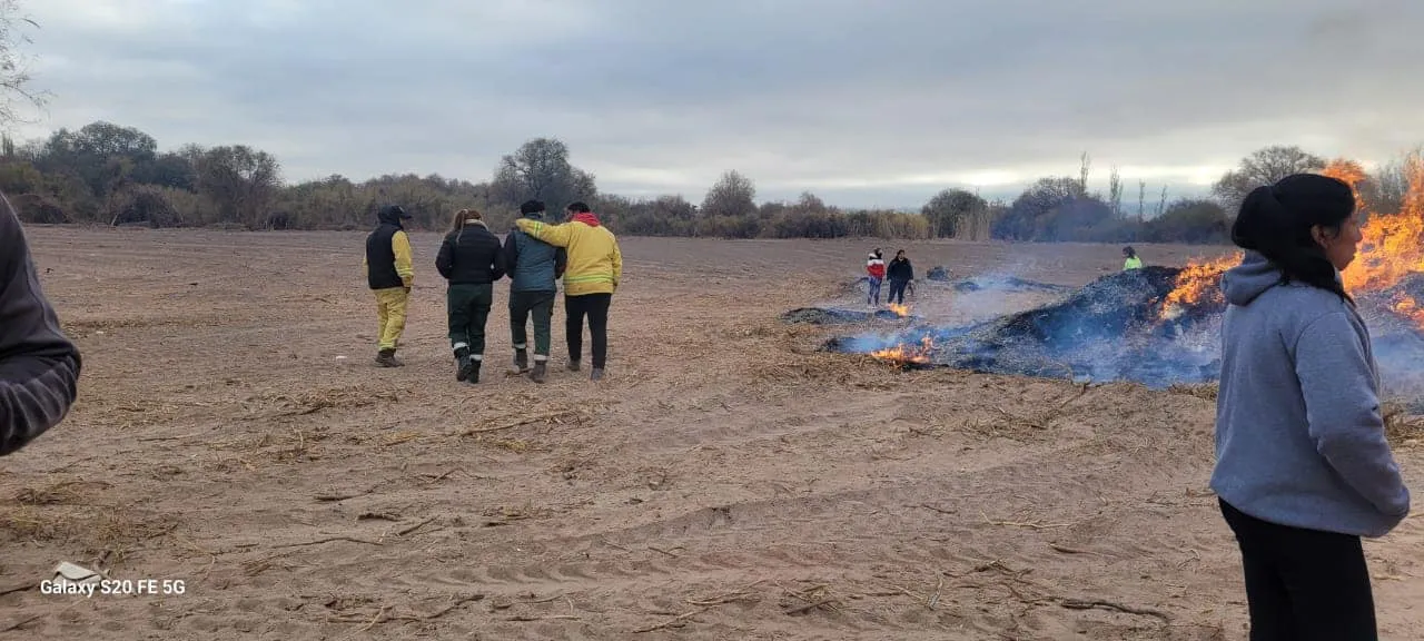 Limpieza de Terrenos - 01
