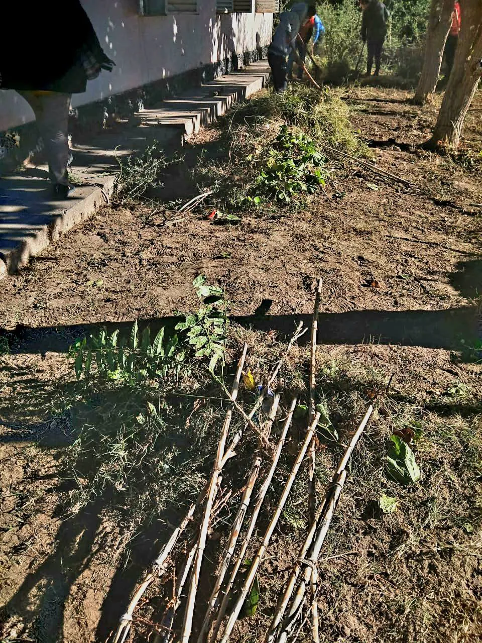 Refaccionamiento en Medanitos - 05