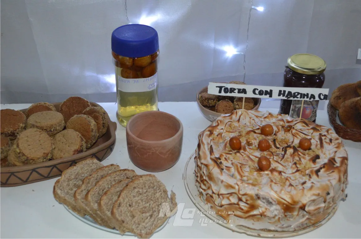 El Chañar puesta en valor - 25