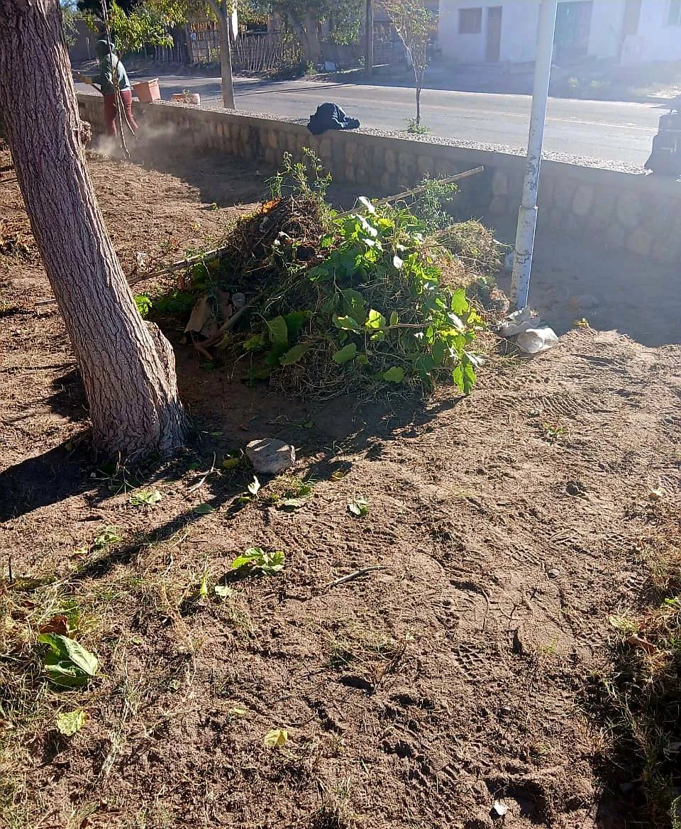 Refaccionamiento en Medanitos - 06