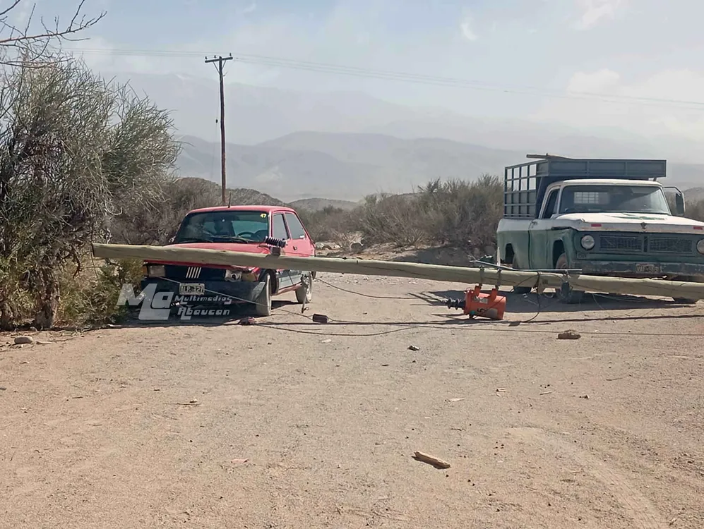 Caida de Columna en Palo Blanco - 01