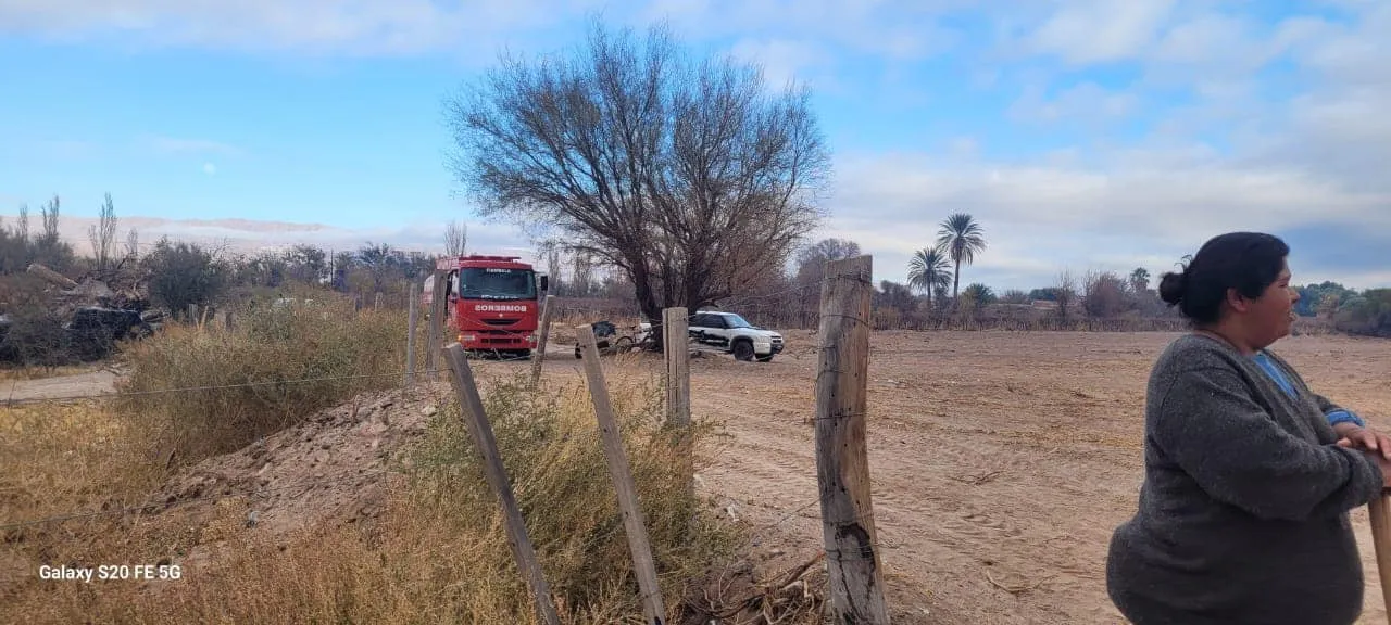 Limpieza de Terrenos - 03