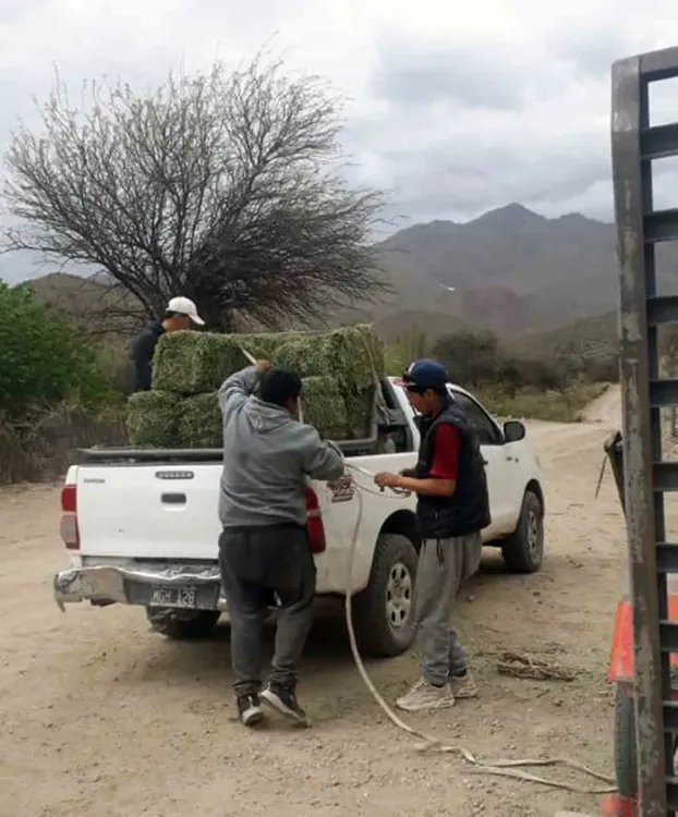 Asistencia a Productores - 02