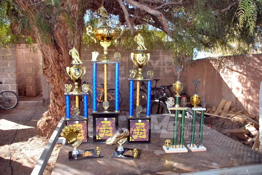 Andino Campeon - 01