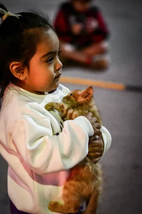 Dia del Animal Tinogasta - 10