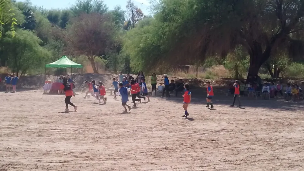 Mundialito Escuela 396 - (5)