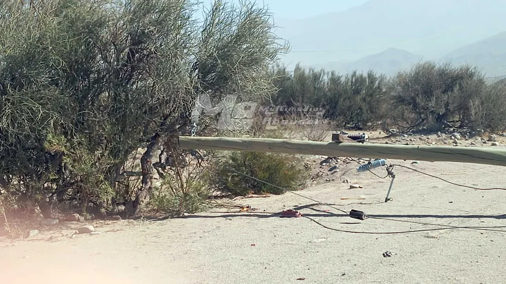 Caida de Columna en Palo Blanco - 03