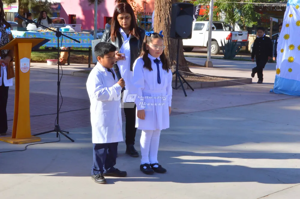 Dia de la Escarapela - Fiambala - 25