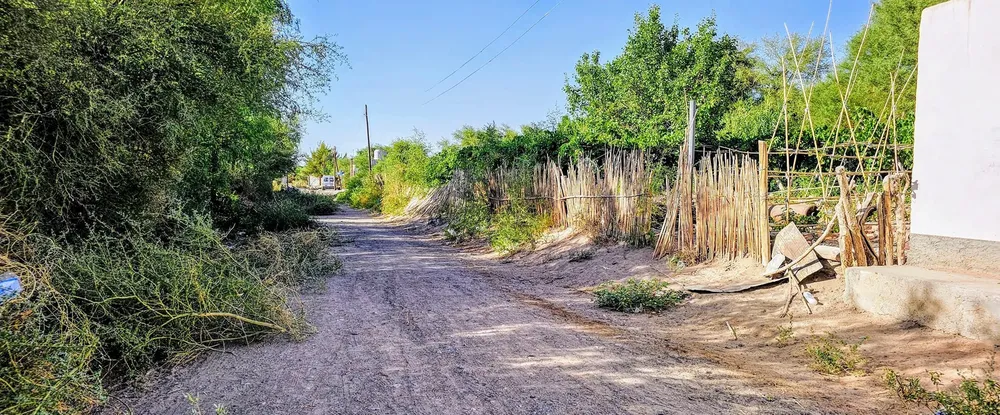 Limpieza Barrio El Libertador - 03