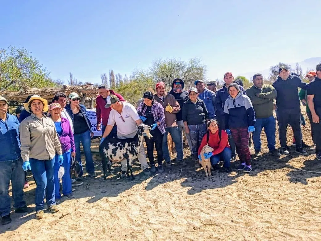 Beneficios para Productores - 05