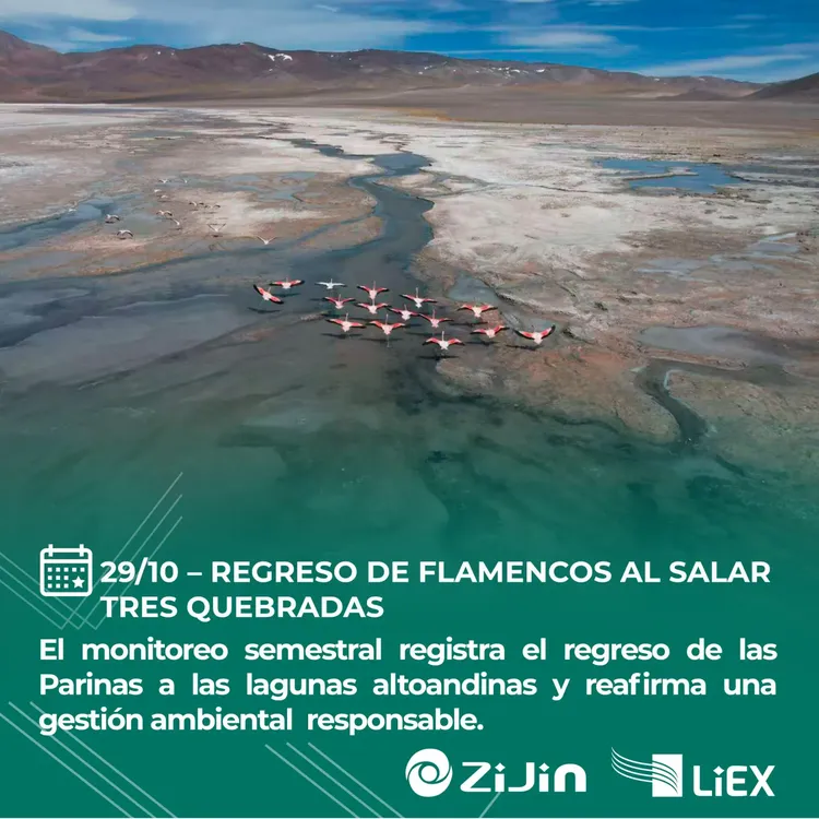 Resumen Octubre Zijin - Liex - 06