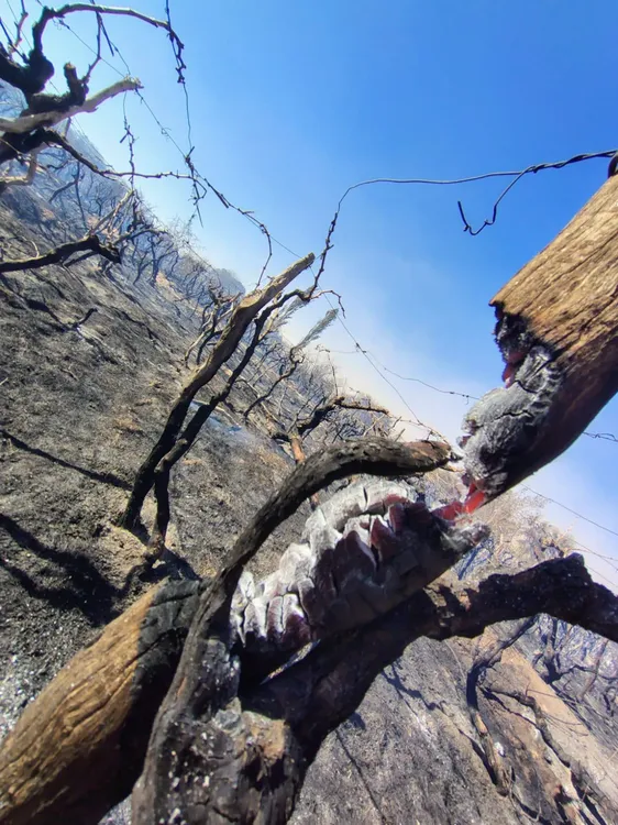 Incendio Barranco - 18