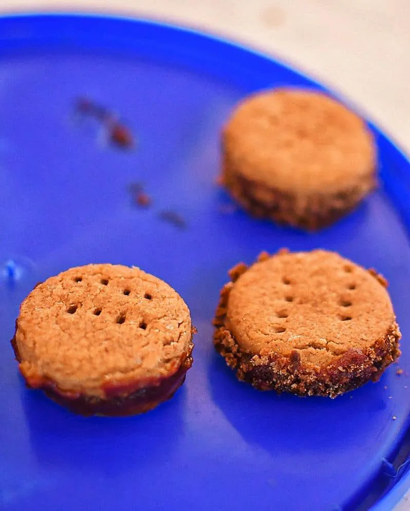 Chañar Tinogata - 13