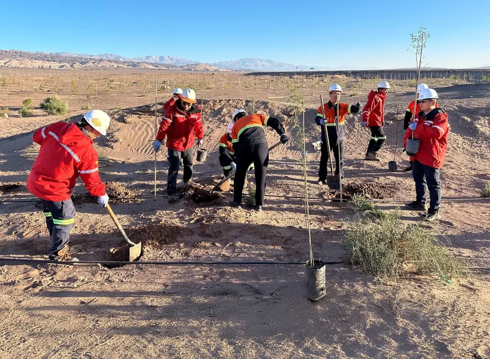 Programa de Forestacion - Zijin Liex - 04