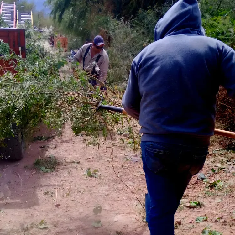 Limpieza en La Ramadita