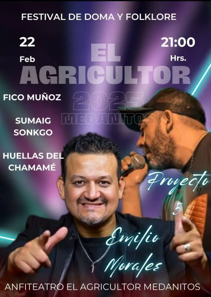 Preparativos para el Festival de Fiambala - 02