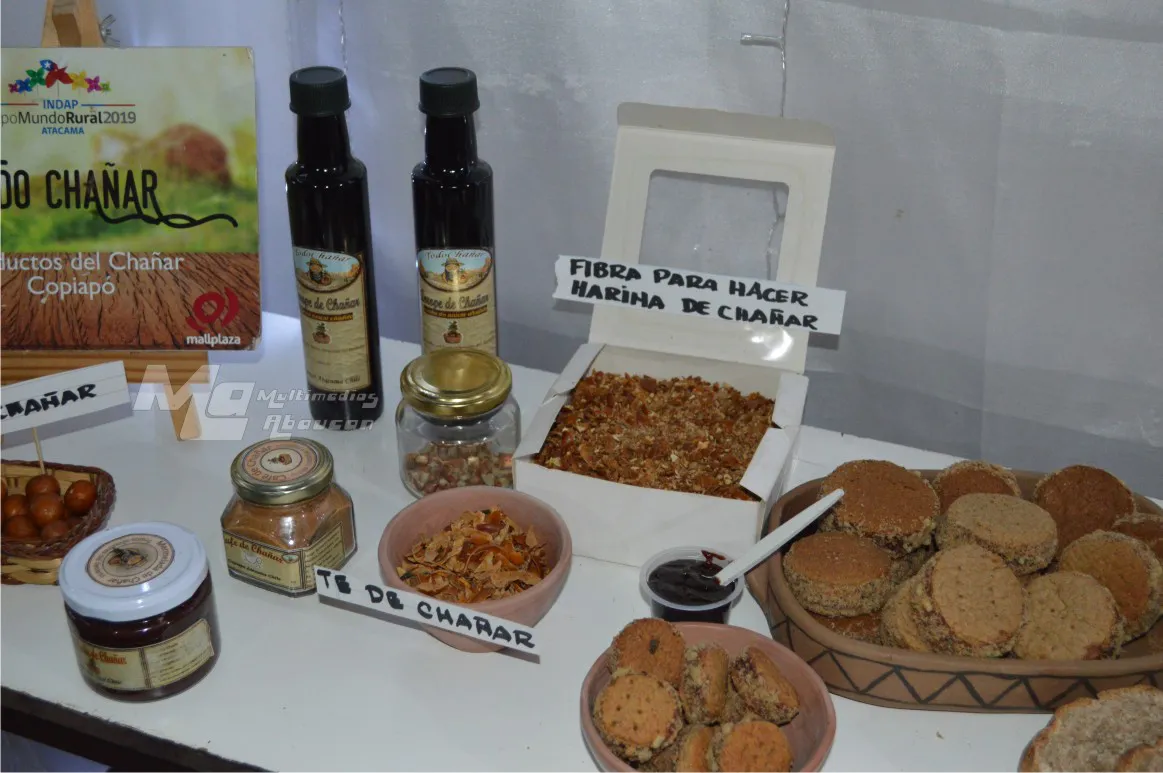 El Chañar puesta en valor - 26