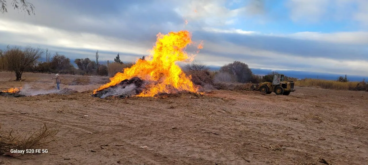 Limpieza de Terrenos - 04