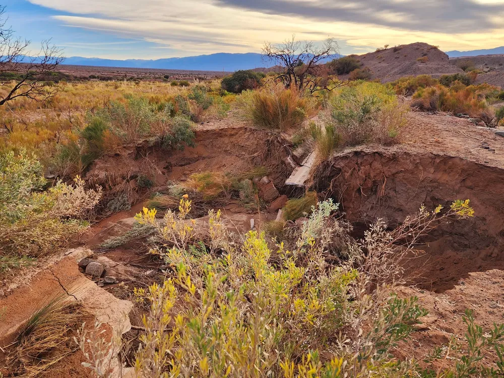 Asistencia al Consorcio de Agua de Riego - 04