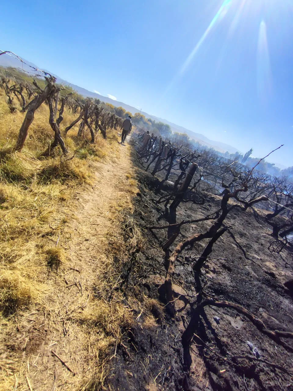 Incendio Barranco - 05