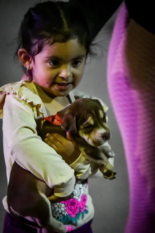 Dia del Animal Tinogasta - 12