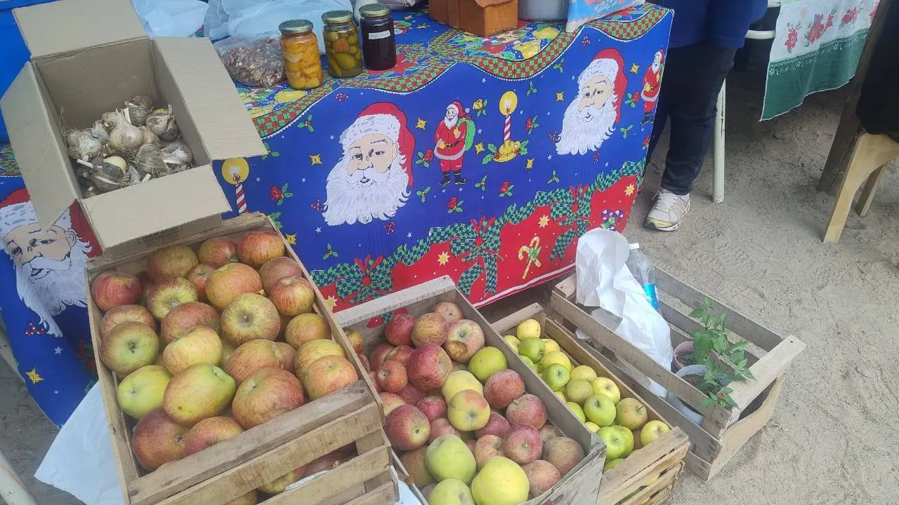 ACOPAH en Punta del Agua - 07
