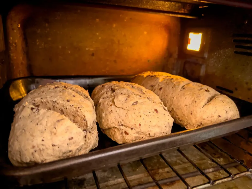 Chañar Tinogata - 12