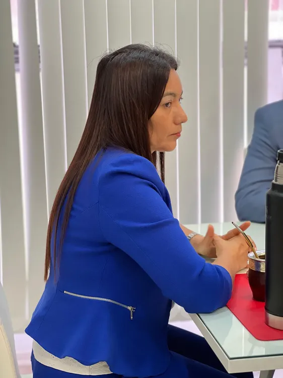 Conectividad Tinogasta - Chilecito - 05