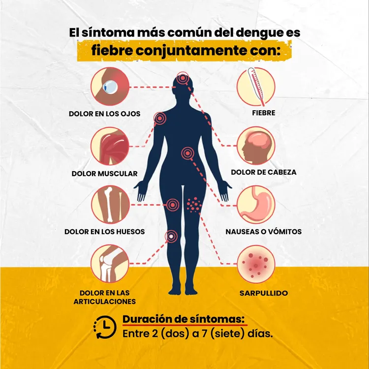 Prevencion Dengue Tinogasta - 02