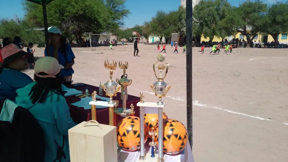 Mundialito Escuela 396 - (21)