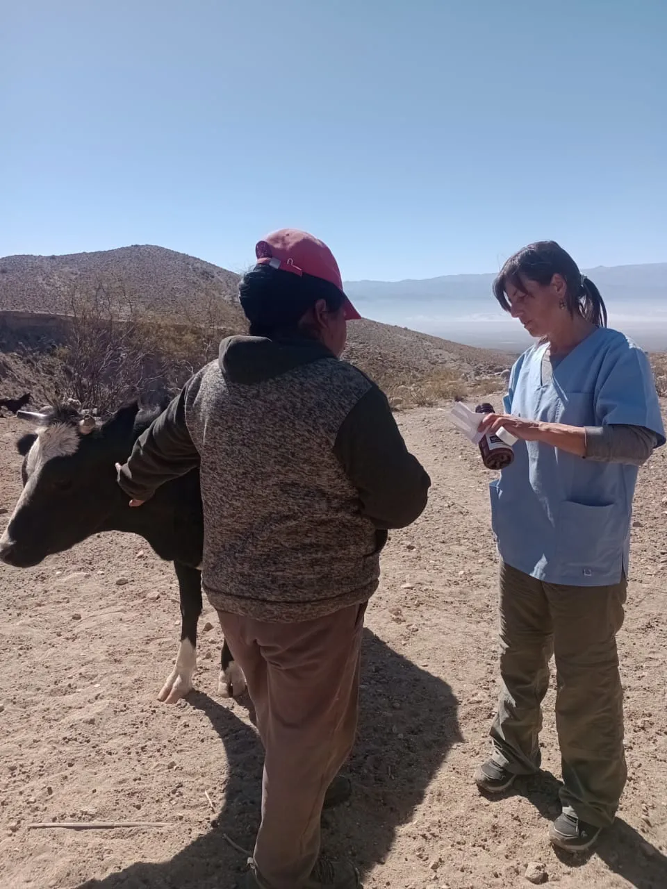 Atencion de Veterinarios en Palo Blanco - 03
