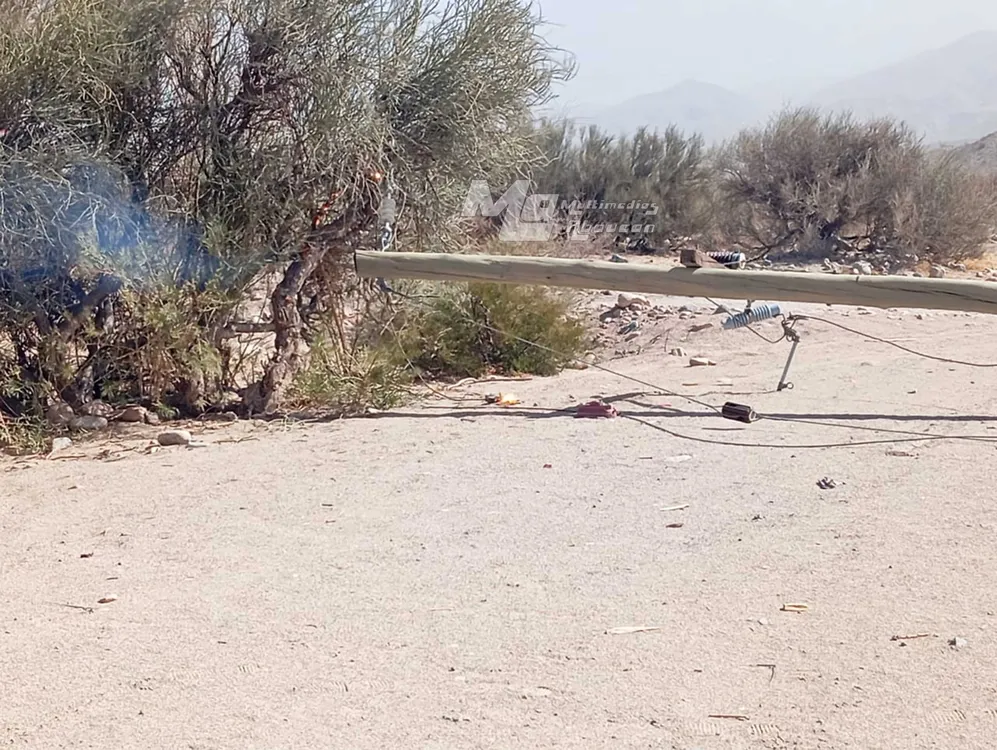 Caida de Columna en Palo Blanco - 02