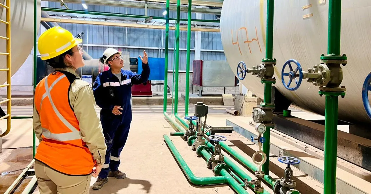 Practicas Profesionales - 01