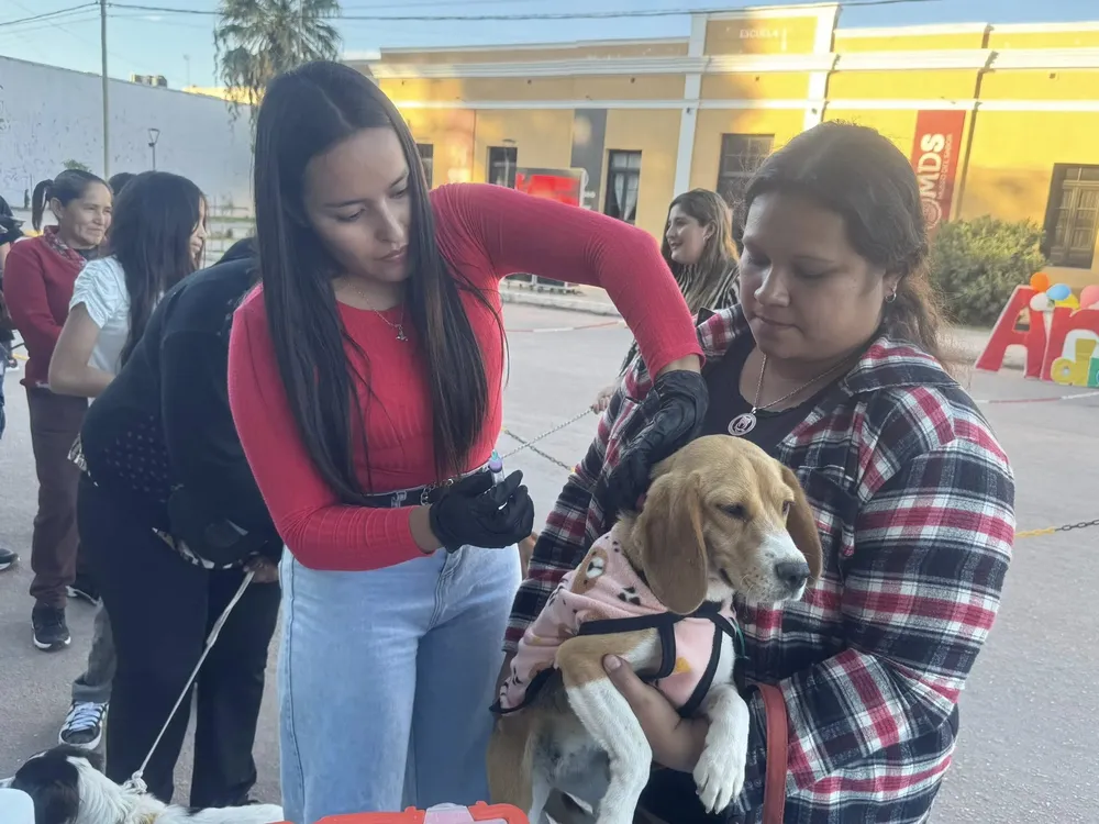 Dia del Animal Tinogasta - 02