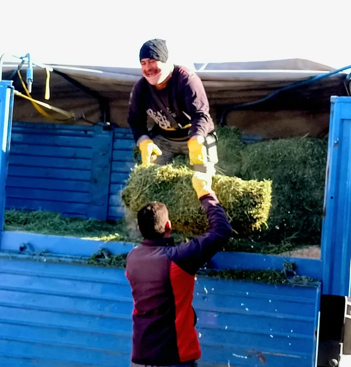 Pasto para produccion - 01