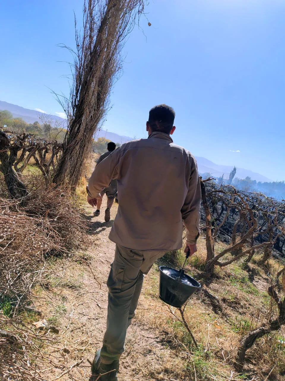 Incendio Barranco - 04