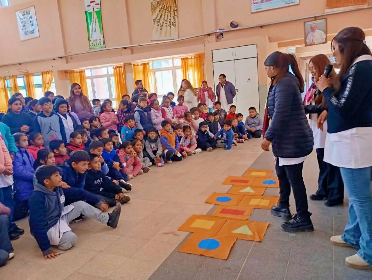 Proyectos y capacitaciones IESF