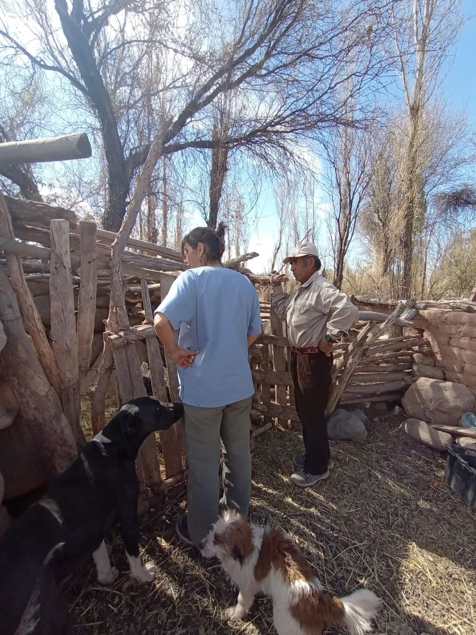 Atencion de Veterinarios en Palo Blanco - 04