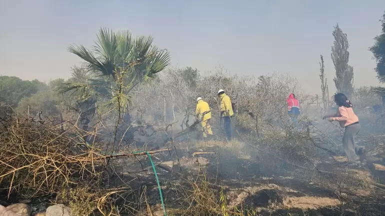 Incendio en Fiambala - 01
