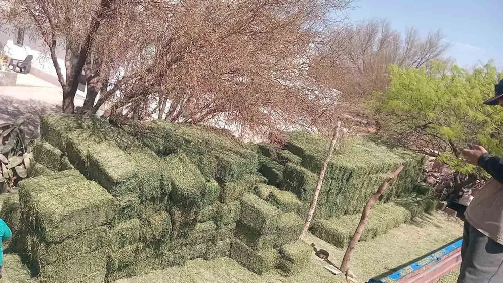 Asistencia a Productores - 03