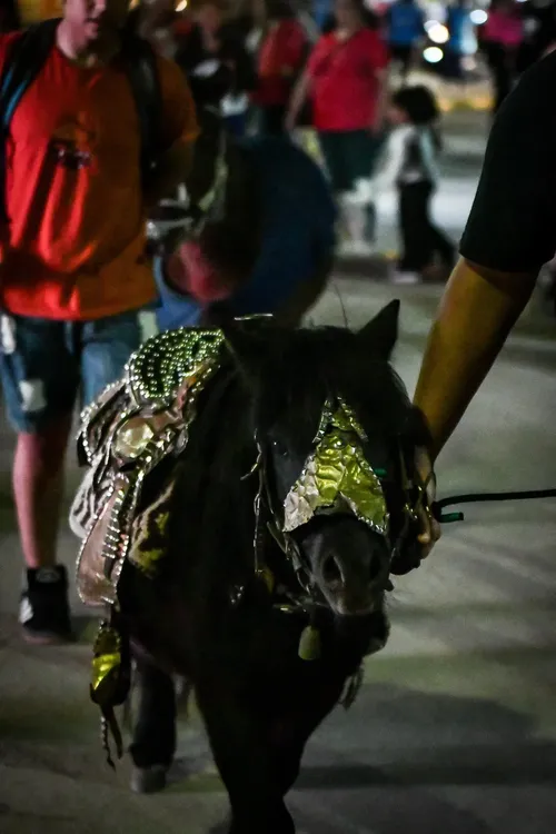 Dia del Animal Tinogasta - 13