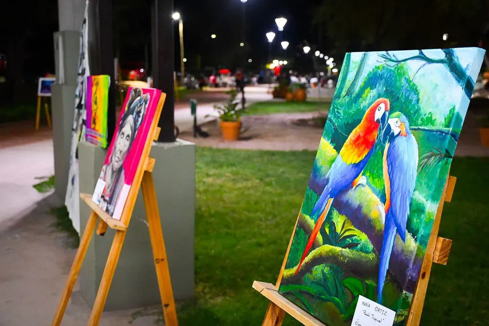 Actividades Culturales Tinogasta - 08