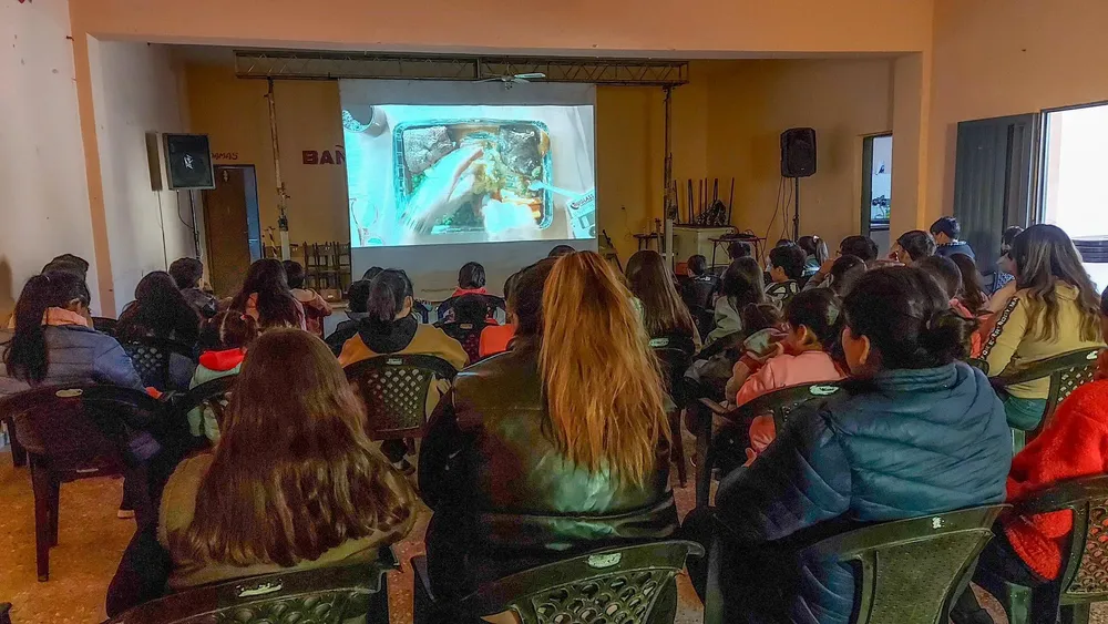 Cine en Anillaco y El Puesto - 01