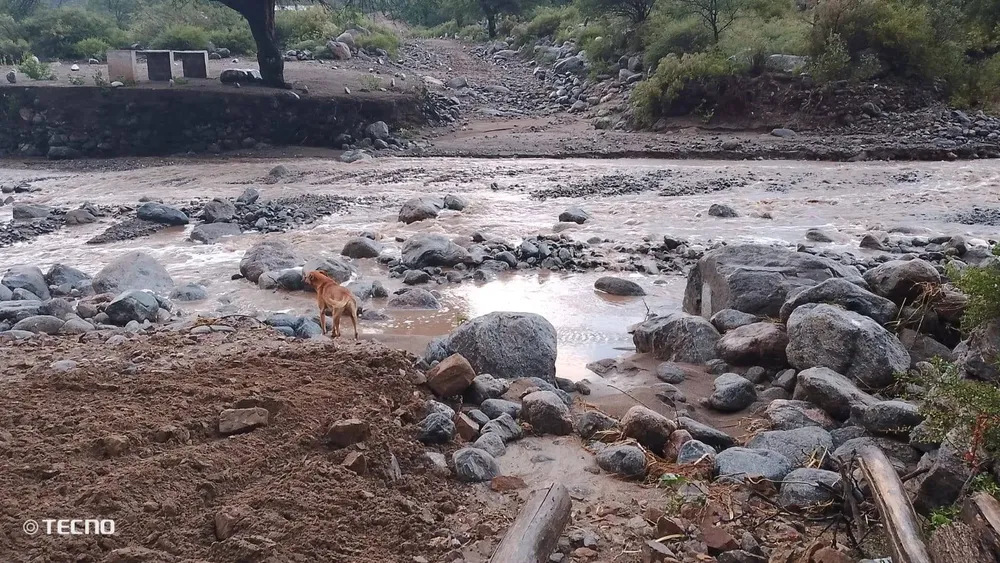 Relevamiento crecidas - 01