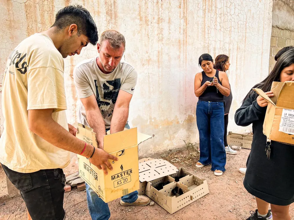 Cadena Avicola en Tinogasta - 05