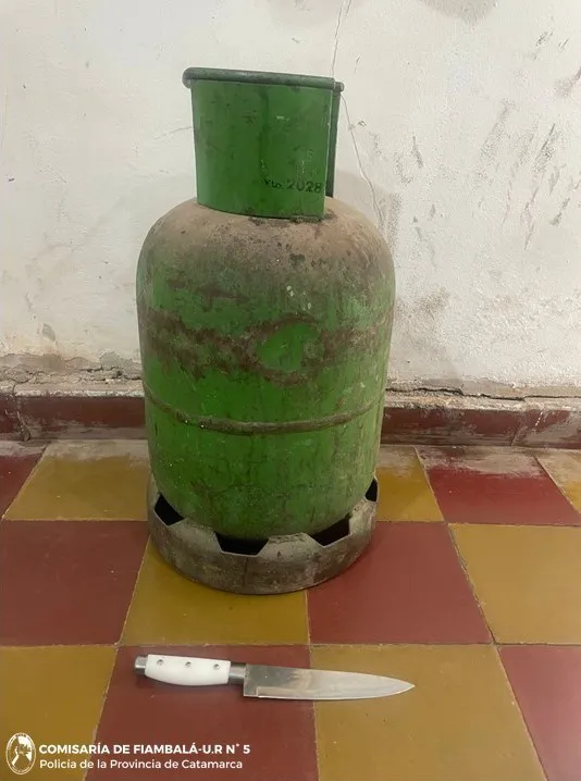 Elementos Recuperados